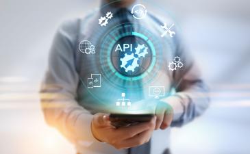 CSIO API Documentation