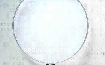 CSIO Code Lookup Tool